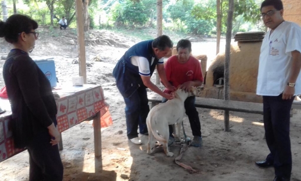 VACUNACIÓN PARA PREVENIR LA RABIA CANINA.