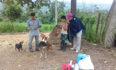 MÁS OPORTUNIDAD. SALUD VUELVE A VACUNAR CONTRA LA RABIA CANINA.