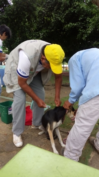 DOMINGO 28 DE OCTUBRE, VACUNACIÓN CANINA (VANCAN-18) CONTRA LA RABIA EN LAMAS.