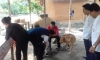 OTRA OPORTUNIDAD. ESTE DOMINGO 15 DE ABRIL, VACUNACION CANINA EN LAMAS.