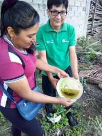 SECTOR SALUD ADVIERTE: ¡CUIDADO CON LAS LLUVIAS!... PUEDEN APARECER ENFERMEDADES COMO EL DENGUE, CHIKUNGUNYA O ZIKA.  La acumulación de agua en depósitos sin tapa es propicia para que el Aedes Aegypti deposite sus huevos y la infestación masiva sea