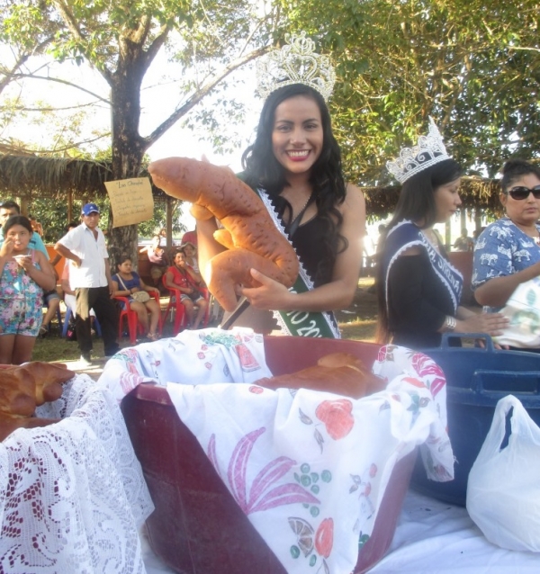 RED DE SALUD DE PICOTA PARTICIPANDO EN  LA IDENTIFICACION Y PROMOCION DE NUESTRAS COSTUMBRES “FESMI 2016”.